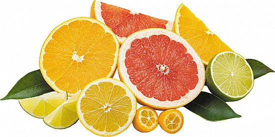 Skivade citrusfrukter som apelsin, grapefrukt, citron och lime mot vit bakgrund.